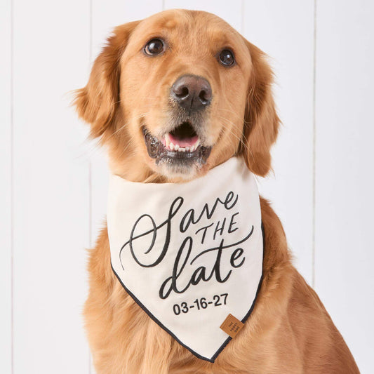 Wedding Collection The Foggy Dog Wedding Collection The Foggy Dog