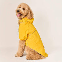 #Modeled by Luna (40lbs) in Large