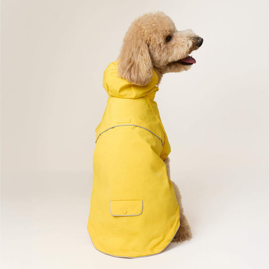 Bright Yellow Reflective Dog Raincoat view 2