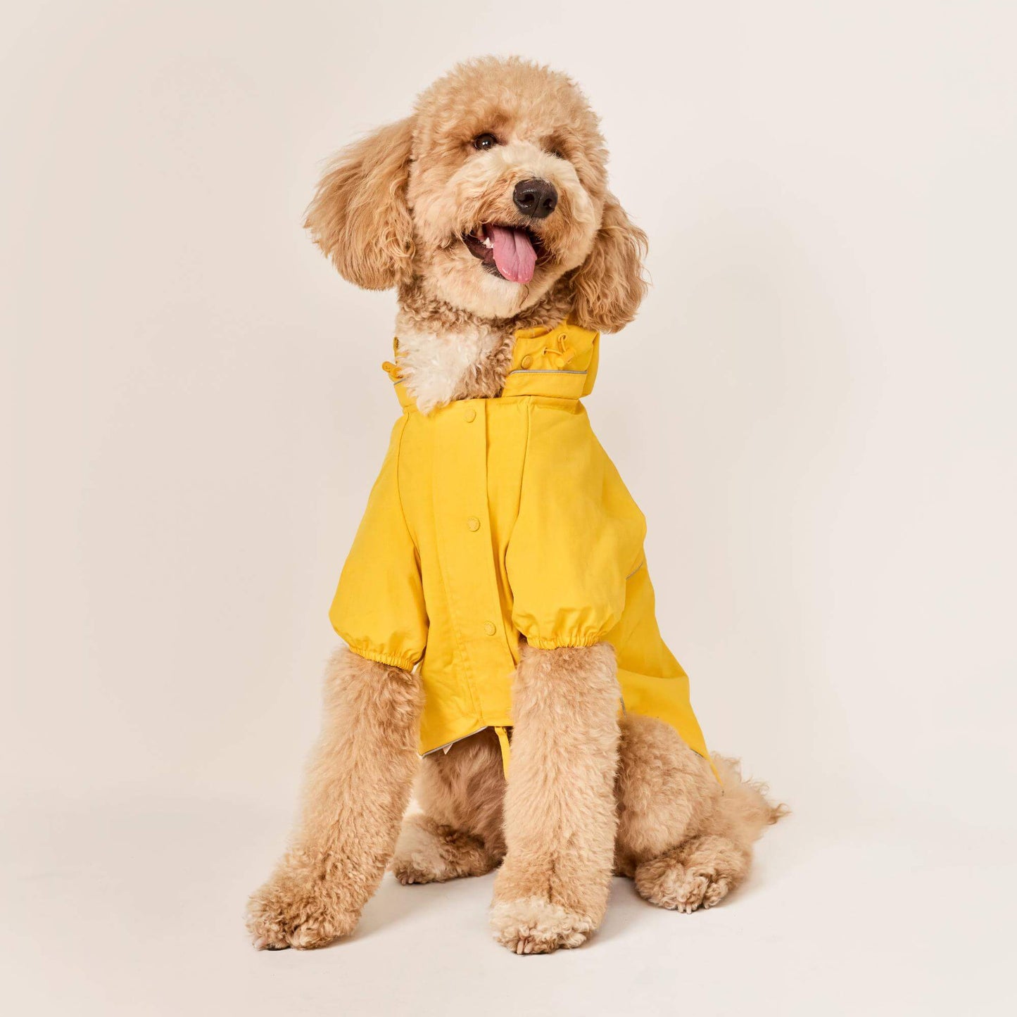 #Modeled by Luna (40lbs) in Large