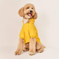 #Modeled by Luna (40lbs) in Large