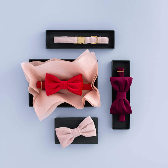 Blush Pink Velvet Lady Bow Collar