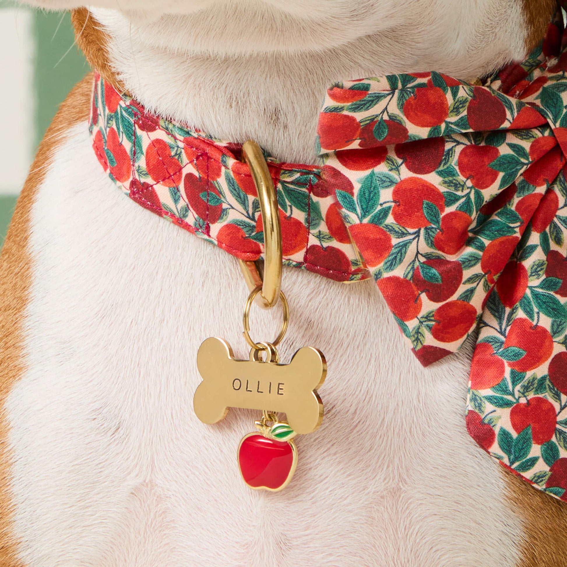 Apple Collar Charm from The Foggy Dog