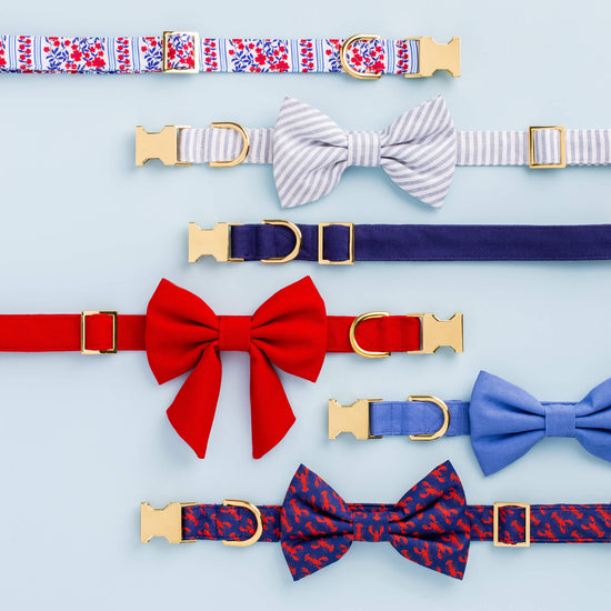 Periwinkle Bow Tie Collar