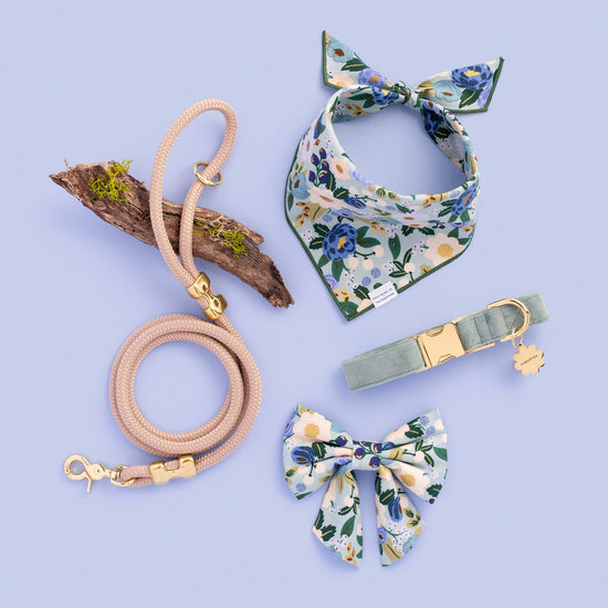 Rifle Paper Co. x TFD Vintage Blossom Lady Dog Bow