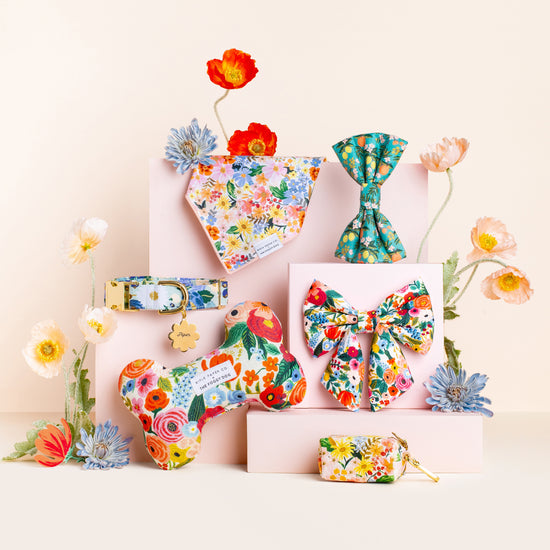 Rifle Paper Co. x TFD Garden Party Lady Bow Collar