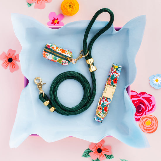Rifle Paper Co. x TFD Garden Party Dog Collar from The Foggy Dog