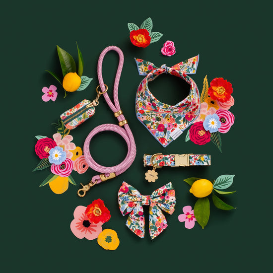 Rifle Paper Co. x TFD Garden Party Lady Bow Collar from The Foggy Dog