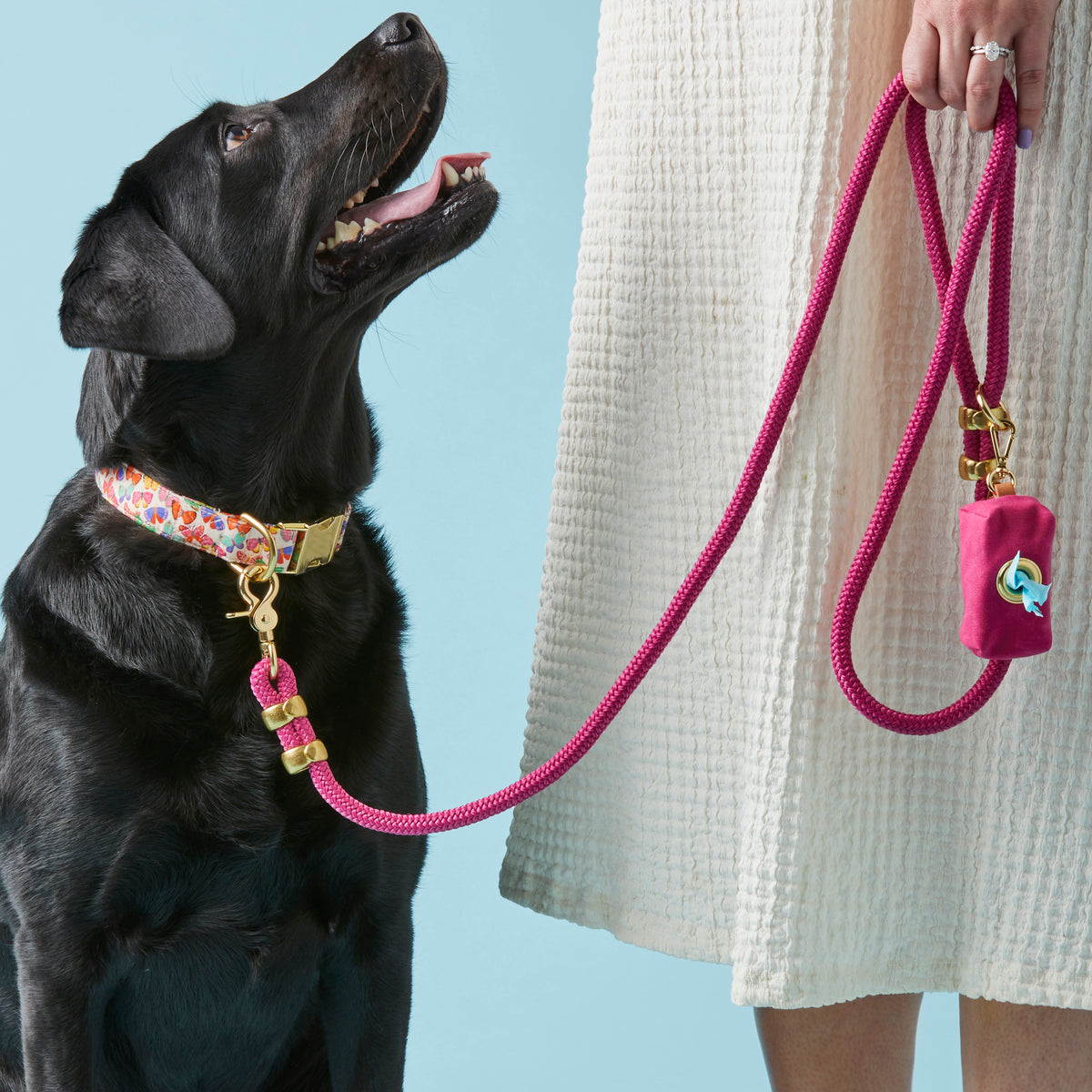 The 6 FOOT Nautical PINK Leash with Leather handle – Kendall Wags The 6 FOOT Nautical PINK Leash with Leather handle – Kendall Wags
