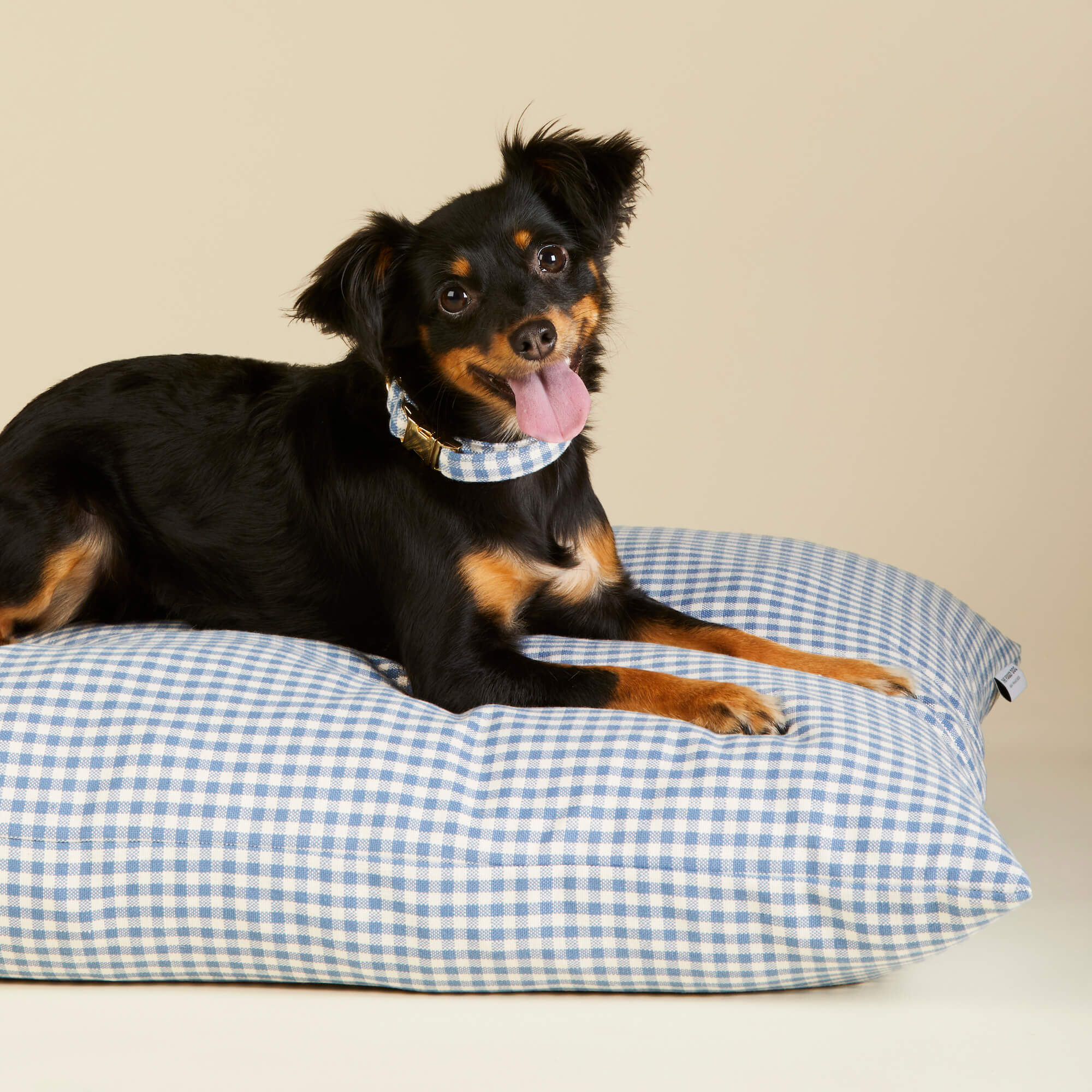 Replacement Dog Bed Insert The Foggy Dog