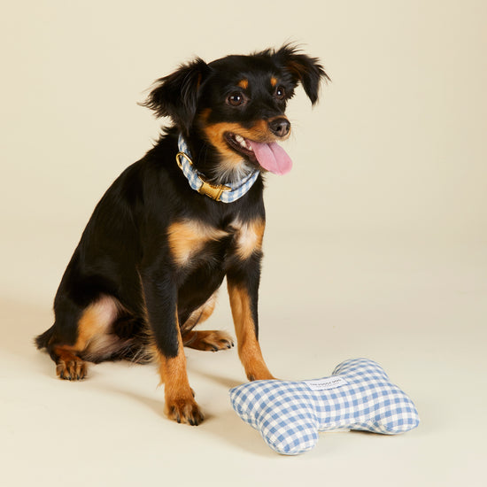 Draper James x TFD Cloud Blue Gingham Dog Squeaky Toy from The Foggy Dog