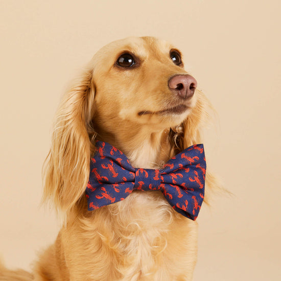 Catch of the Day Dog Bow Tie