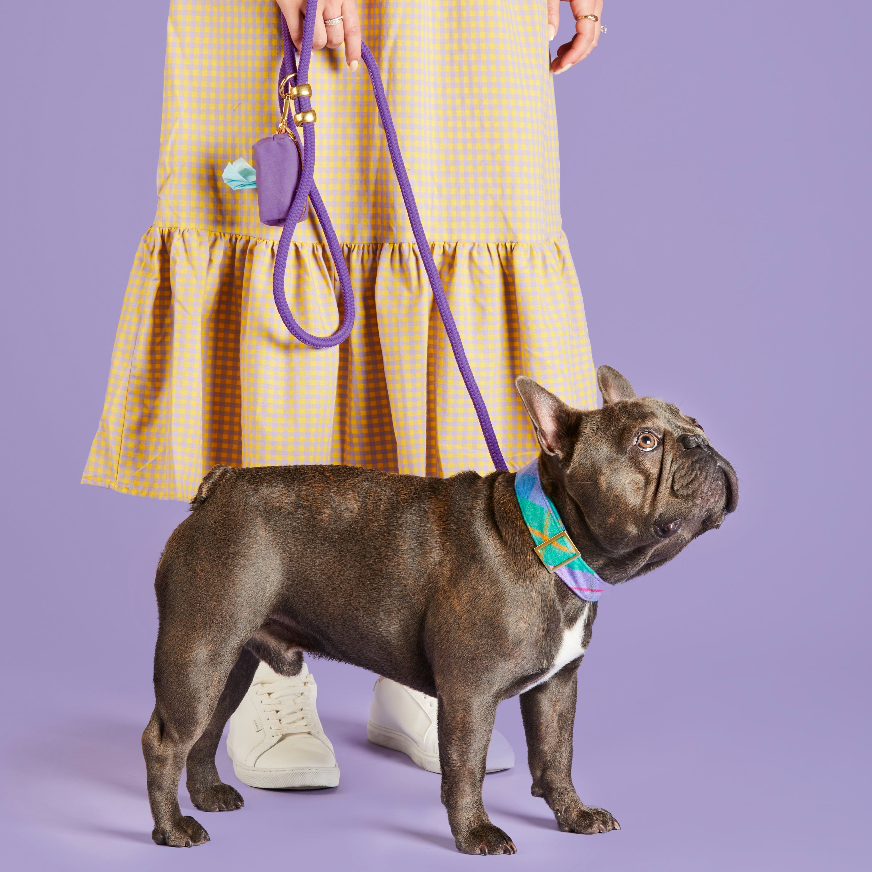 Fable Dog Leash