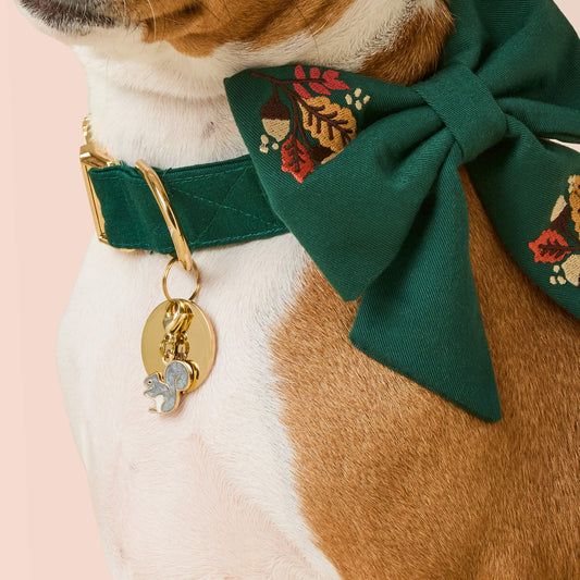 Squirrel Collar Charm from The Foggy Dog