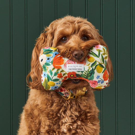 Rifle Paper Co. x TFD Garden Party Dog Squeaky Toy from The Foggy Dog