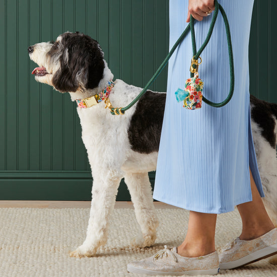 Evergreen Marine Rope Dog Leash (Standard/Petite) from The Foggy Dog 