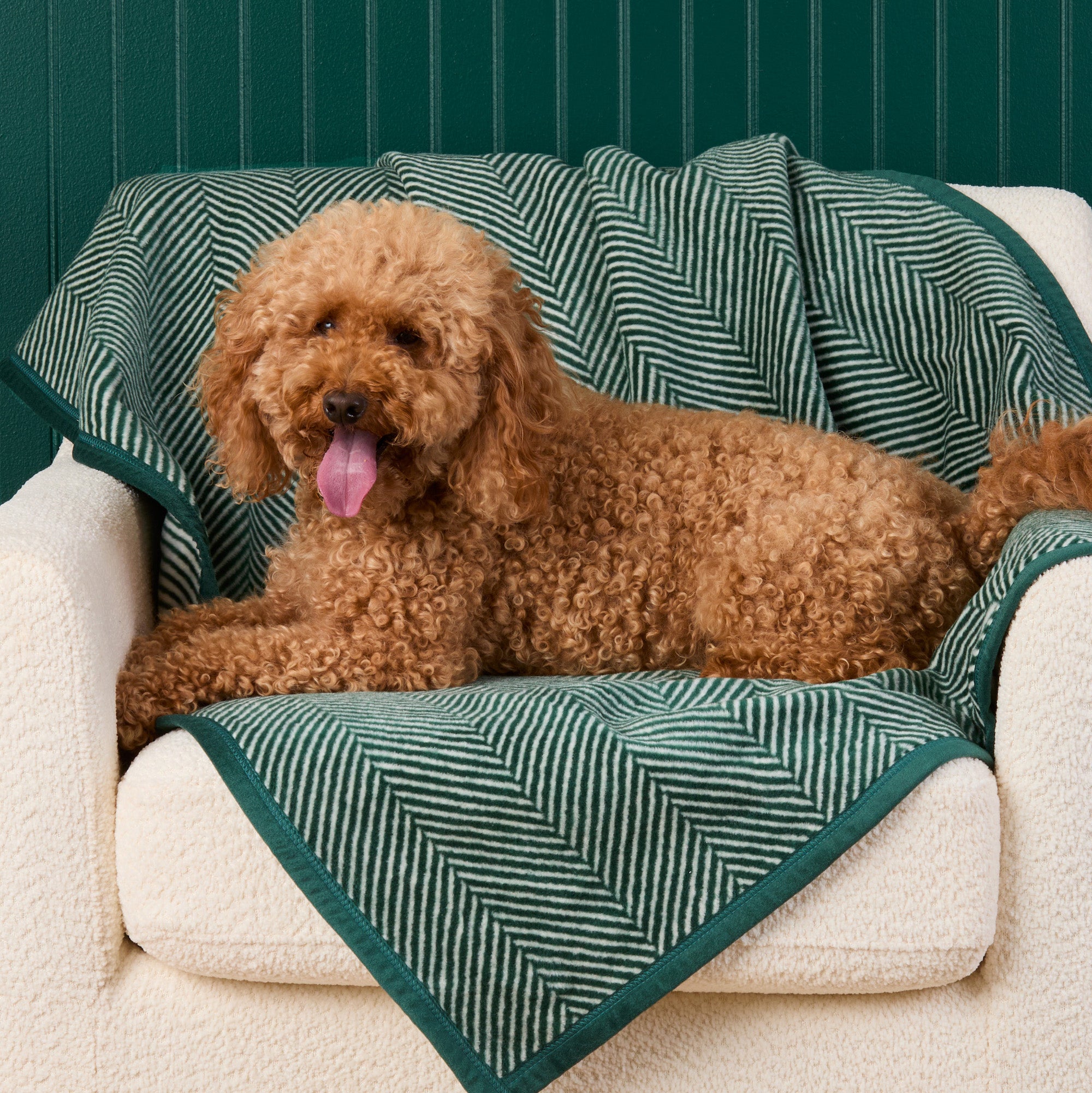 ChappyWrap Harborview Herringbone Evergreen Dog Blanket – The