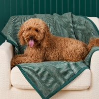 #Modeled by Utah (26lbs) on Midi