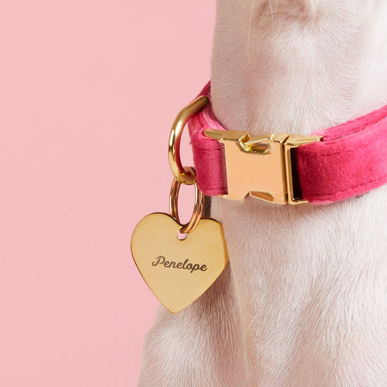 Heart pet ID tag from The Foggy Dog