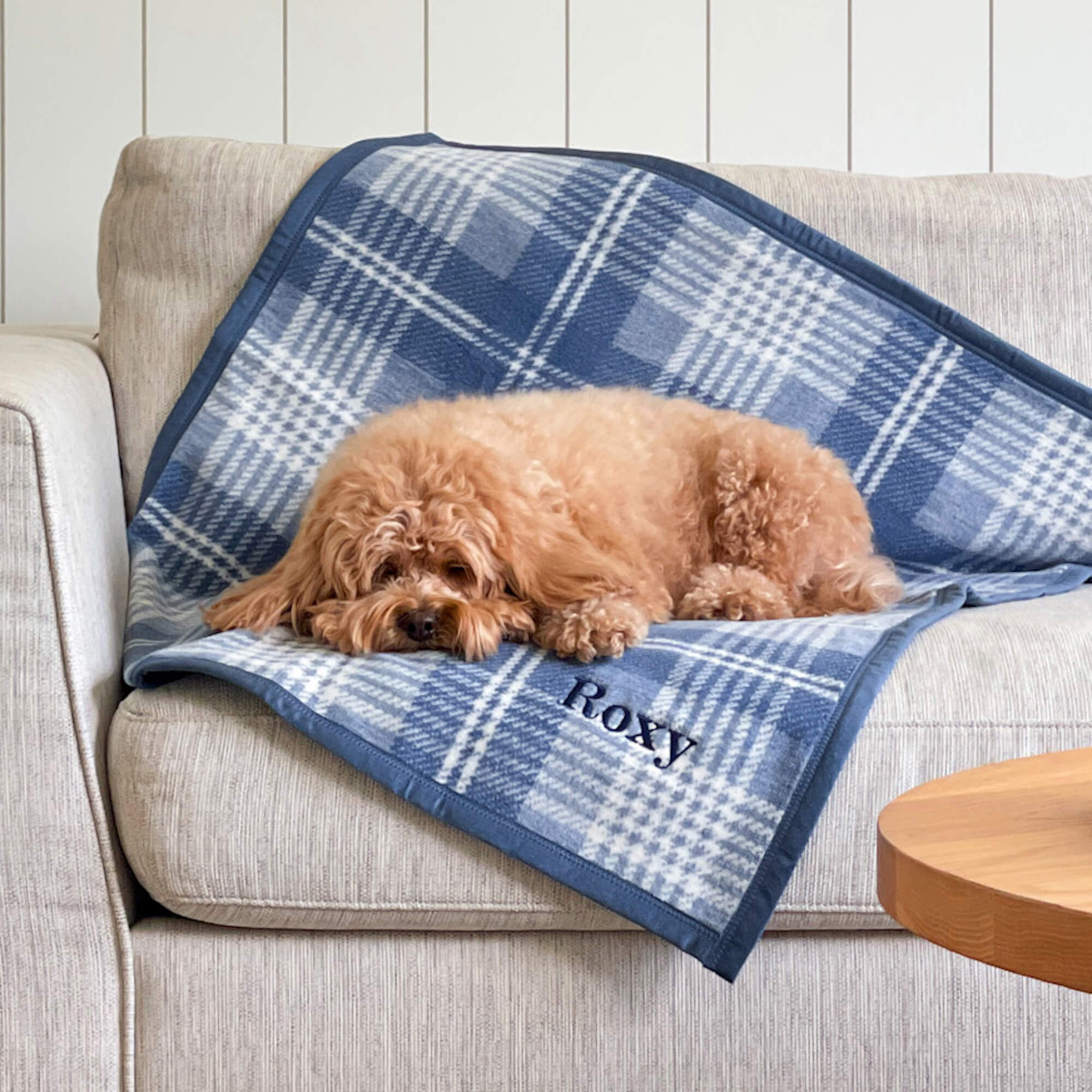 ChappyWrap x TFD Blue Frost Plaid Dog Blanket – The Foggy Dog