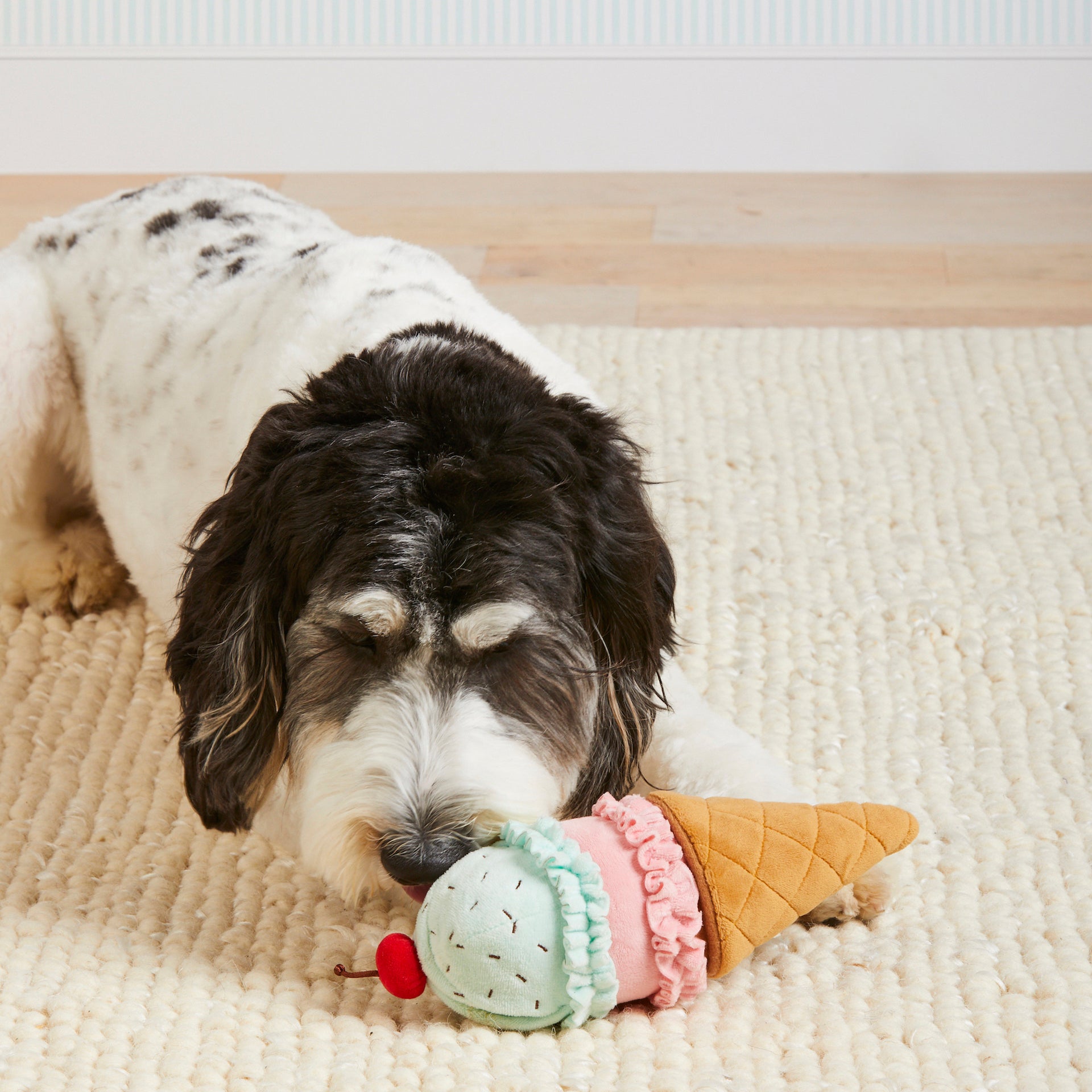 Ice Cream Interactive Snuffle Dog Toy – The Foggy Dog