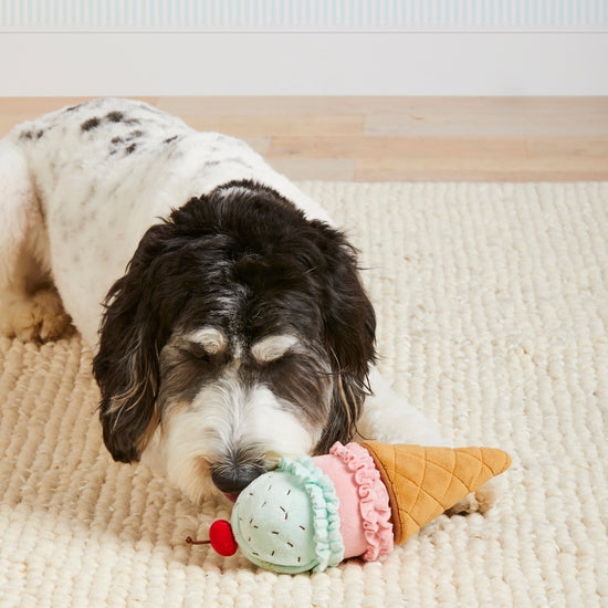 Ice Cream Interactive Snuffle Dog Toy from The Foggy Dog