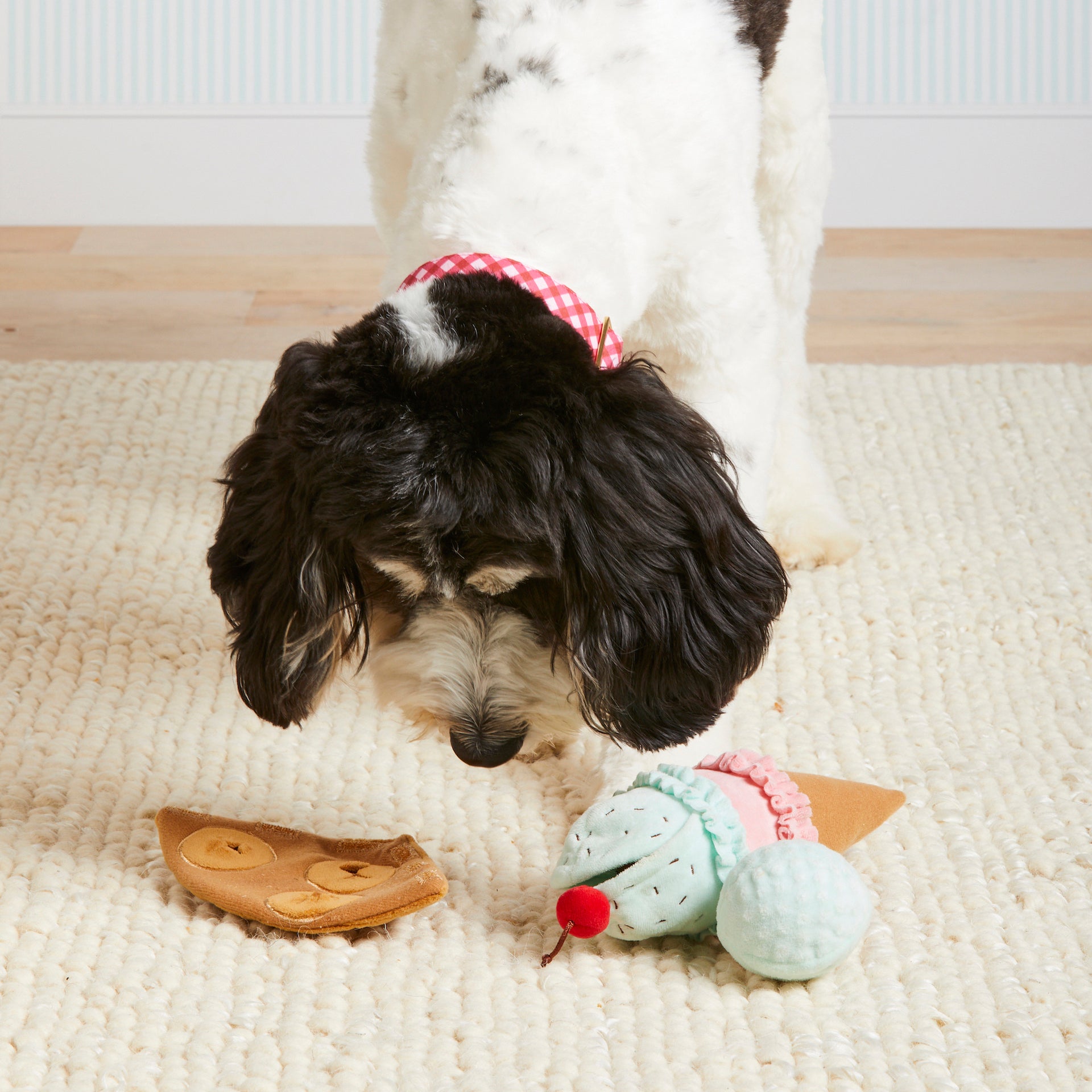 Ice Cream Interactive Snuffle Dog Toy – The Foggy Dog