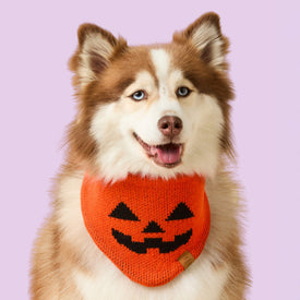 #Modeled by Rouka (35lbs) in Medium