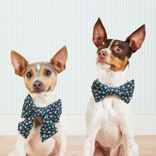 Lucky Pup Bow Tie Collar
