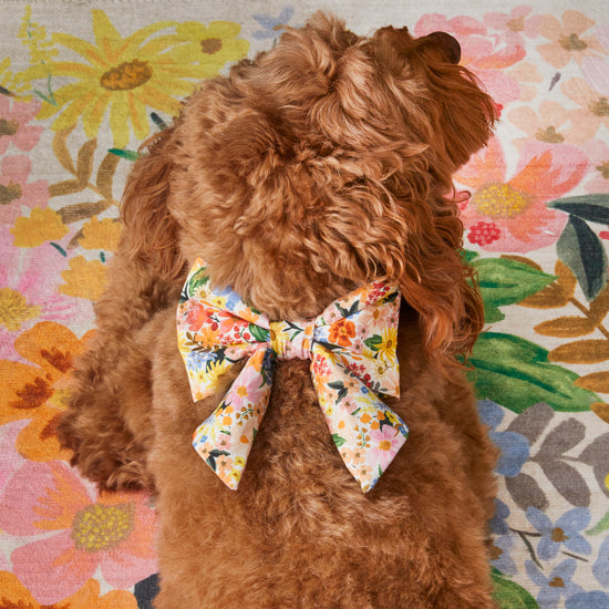 #Modeled by Ruby (23lbs) in a Medium collar and Large bow tie