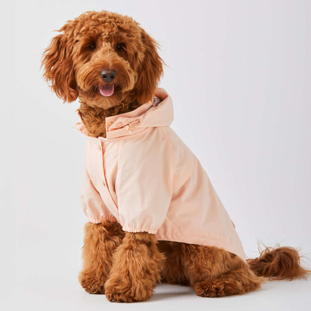 Petal Pink Dog Raincoat - XL