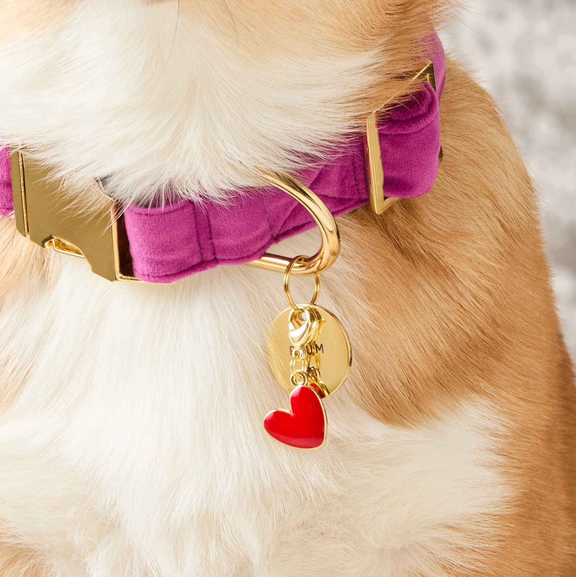 Red Heart Collar Charm from The Foggy Dog