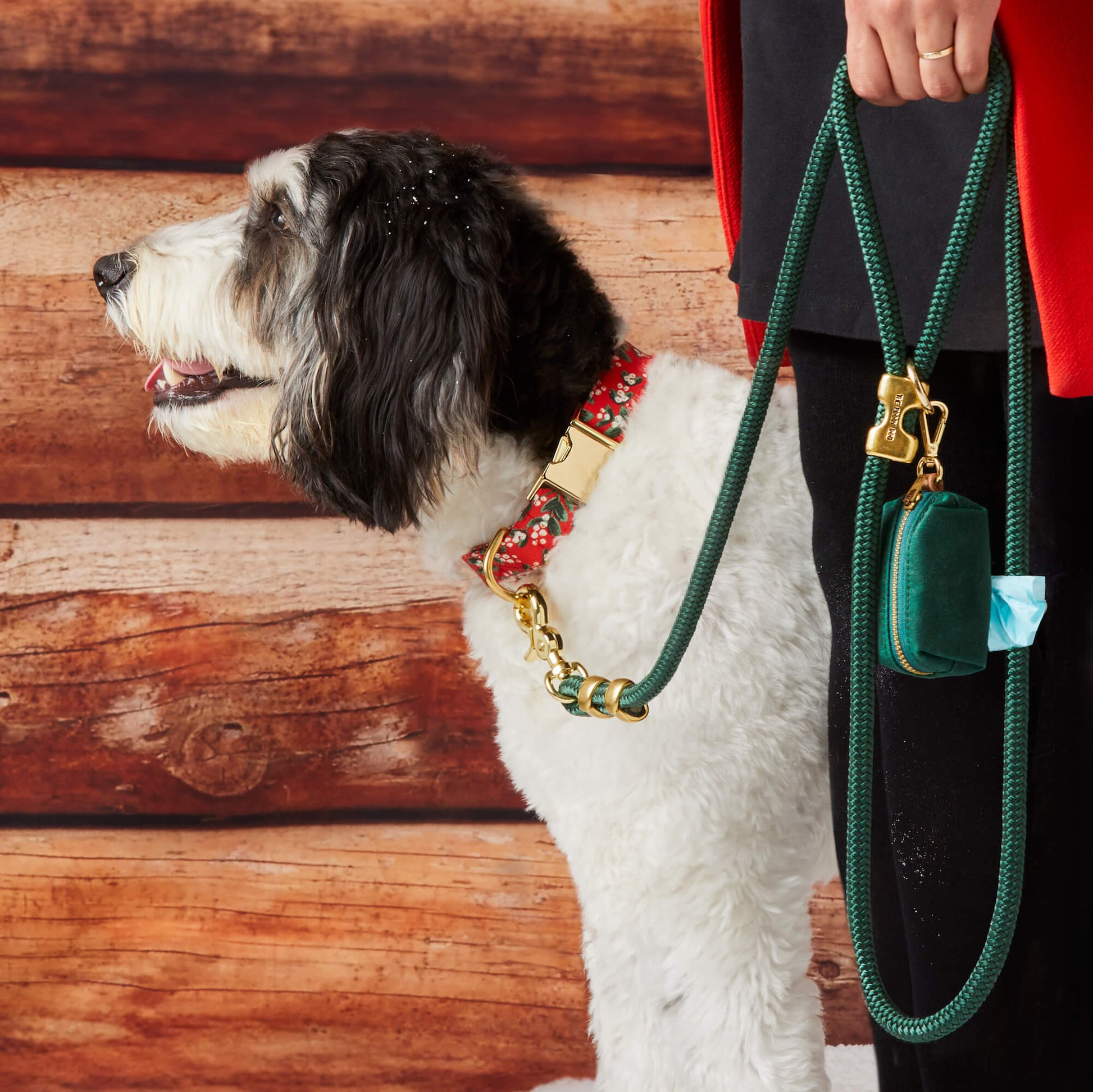 Evergreen Marine Rope Dog Leash – The Foggy Dog