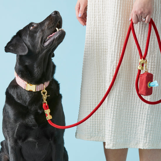 Ruby Marine Rope Leash from The Foggy Dog