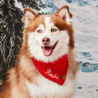 #Modeled by Rouka (30lbs) in Medium