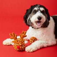 Deluxe Holiday Interactive Toy Set from The Foggy Dog