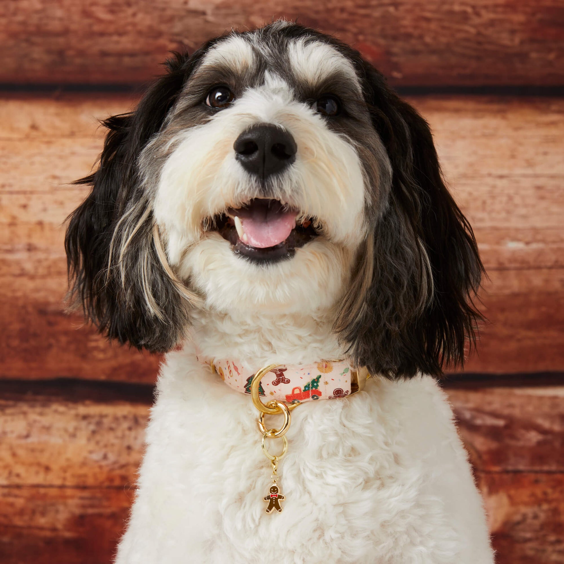 #Modeled by Reese (40lbs) in Medium