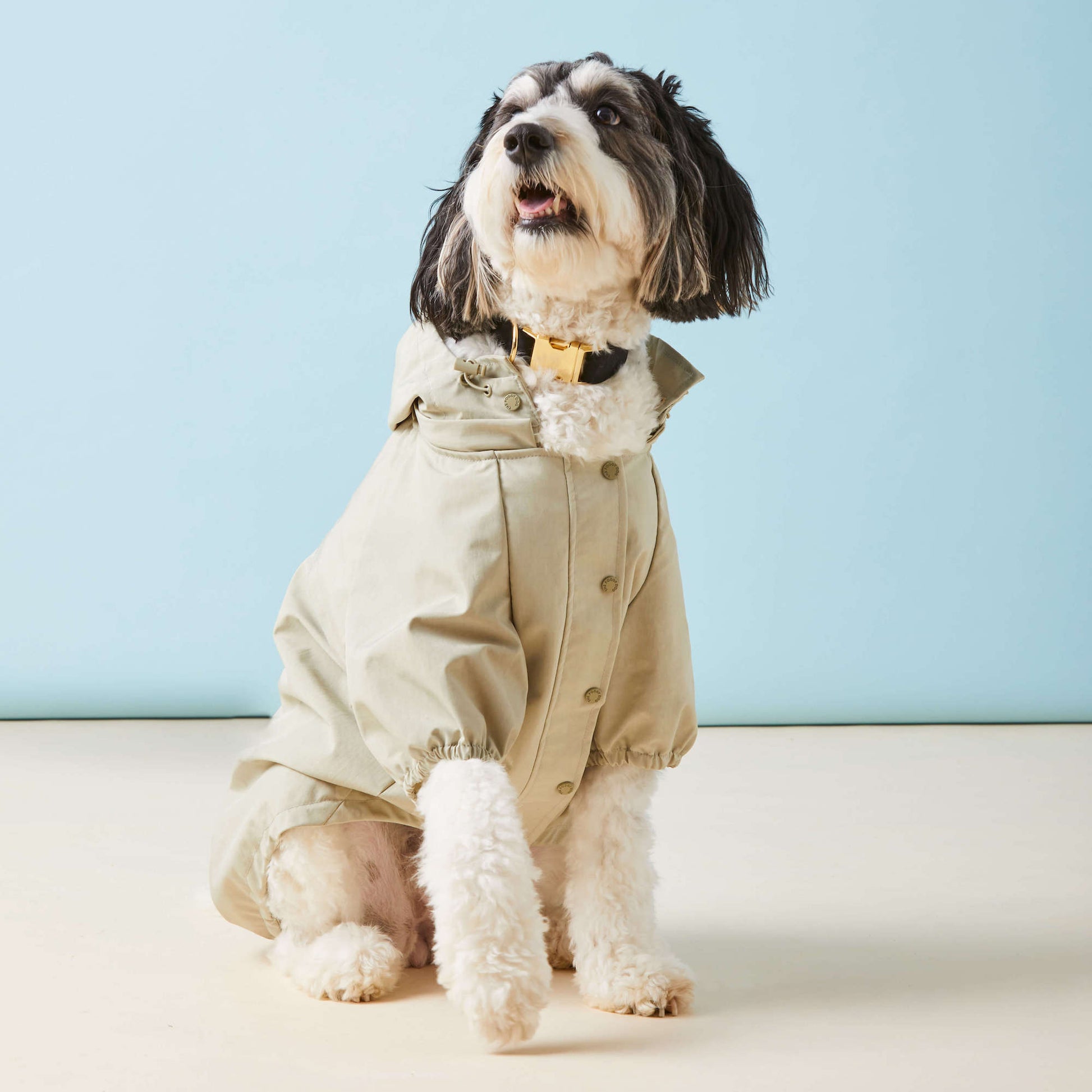 sage green dog dress Love Story Sage Green Pleated Chiffon Dress
