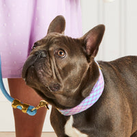 #Modeled by Blue (25lbs) in Medium