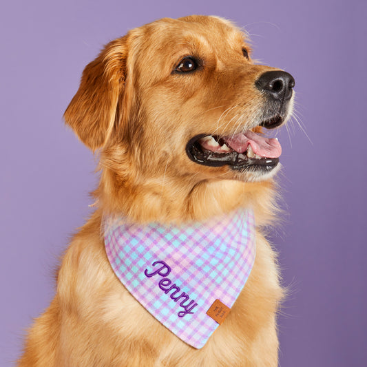 #Modeled by Penny (50lbs) in Medium