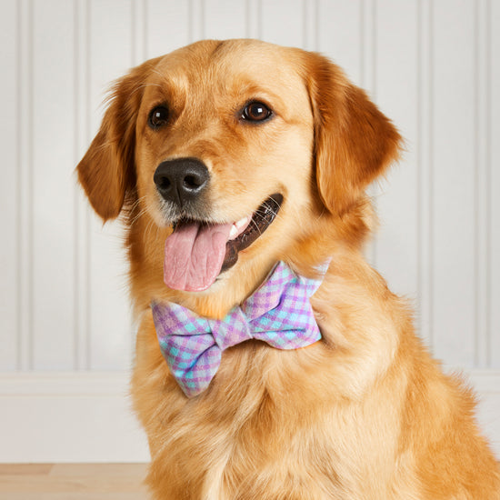 Sorbet Plaid Flannel Dog Bow Tie