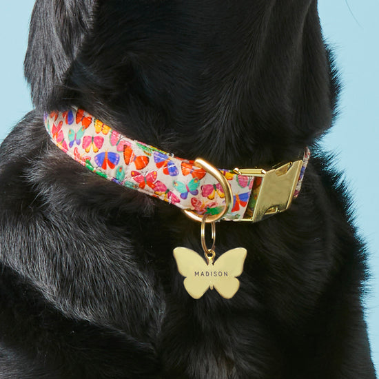 #Modeled by Koda (56lbs) in a Large pet ID tag