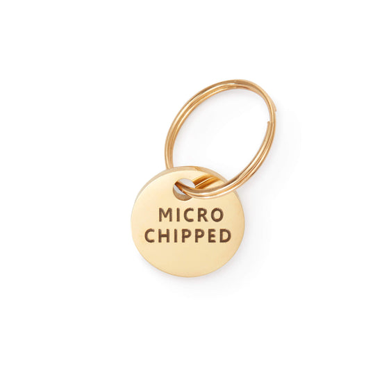 Microchipped Mini Pet ID Tag