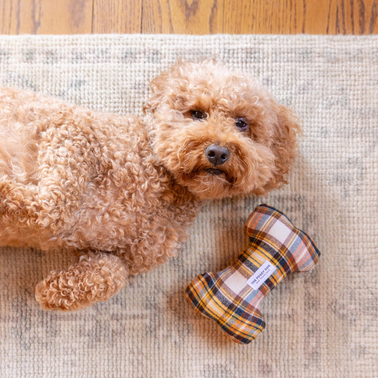Cornucopia Flannel Dog Squeaky Toy