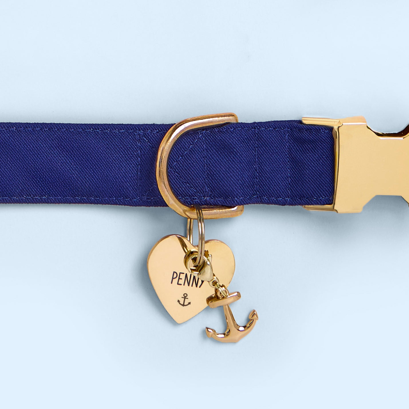 Heart ID Tag with Anchor Icon and Gold Anchor Collar Charm from The Foggy Dog