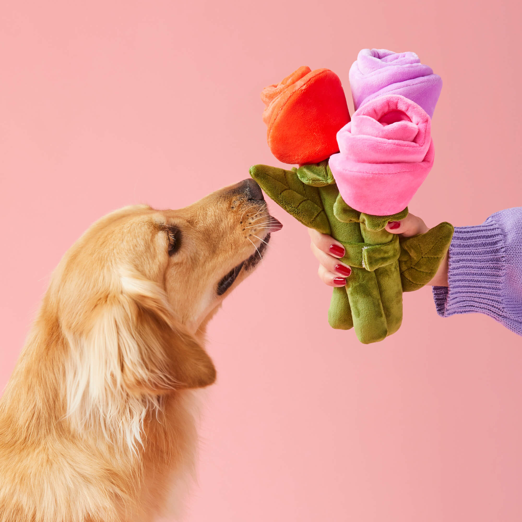 Bouquet of Roses Interactive Snuffle Dog Toy – The Foggy Dog