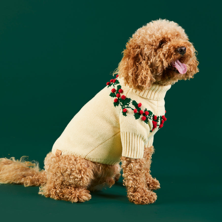 Holly Bobble Dog Sweater – The Foggy Dog