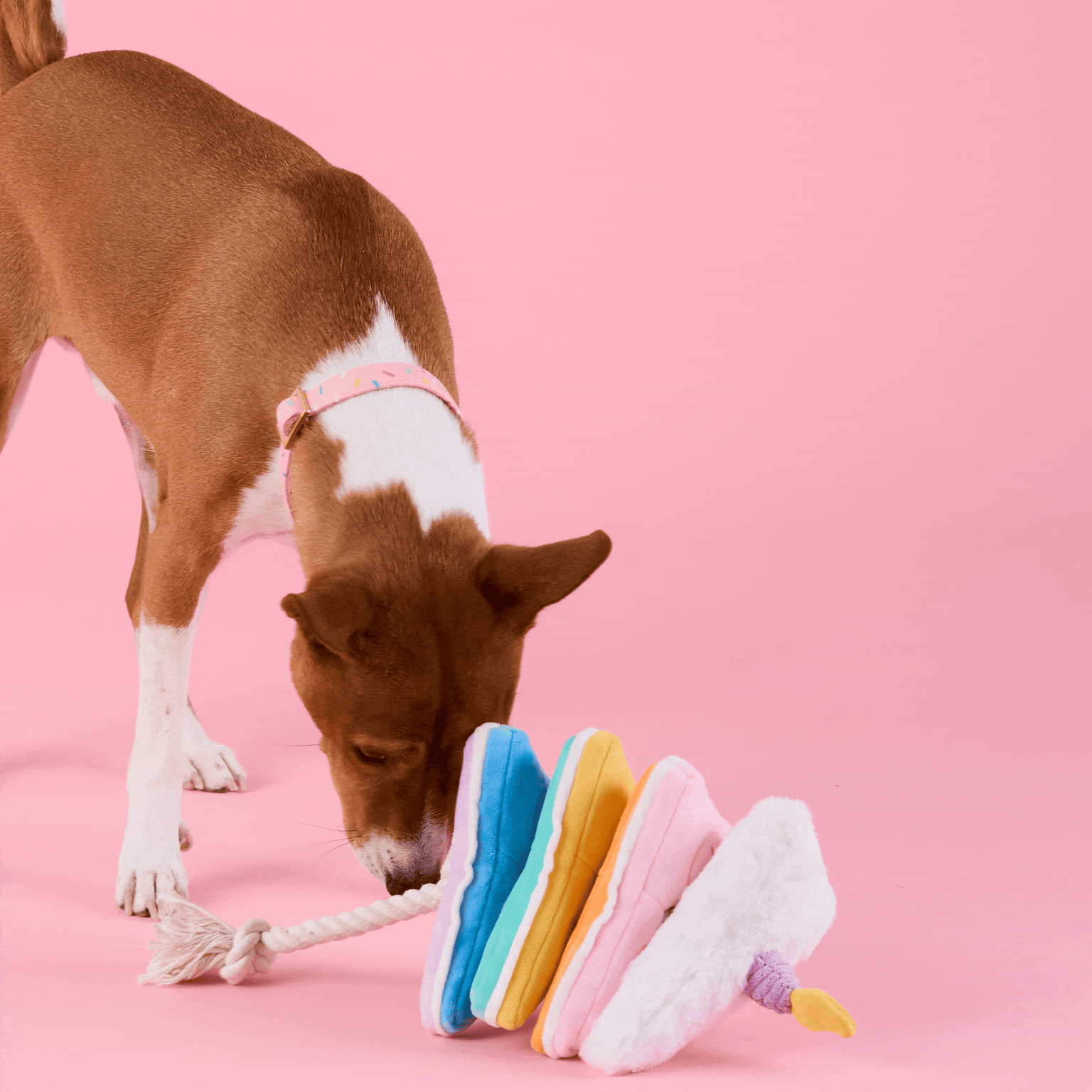 Birthday Cake Interactive Snuffle Dog Toy from The Foggy Dog