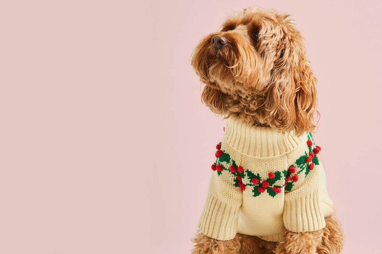 Holly Bobble Dog Sweater from The Foggy Dog