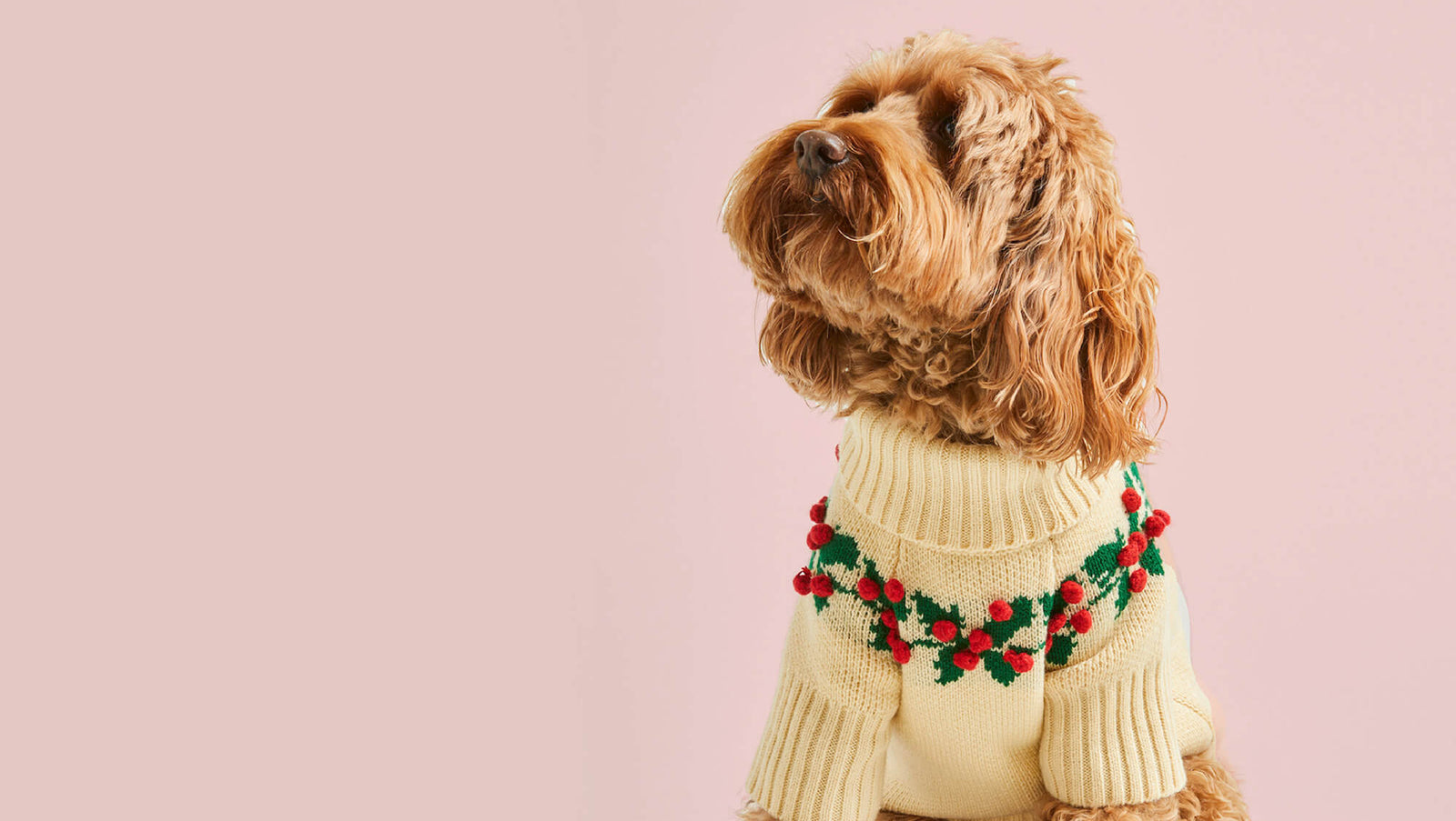 Holly Bobble Dog Sweater from The Foggy Dog